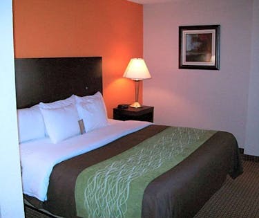 Comfort Inn Hwy 290 Nw Houston Hoteltonight