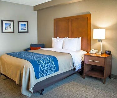 Comfort Inn Suites Orlando North Orlando Hoteltonight