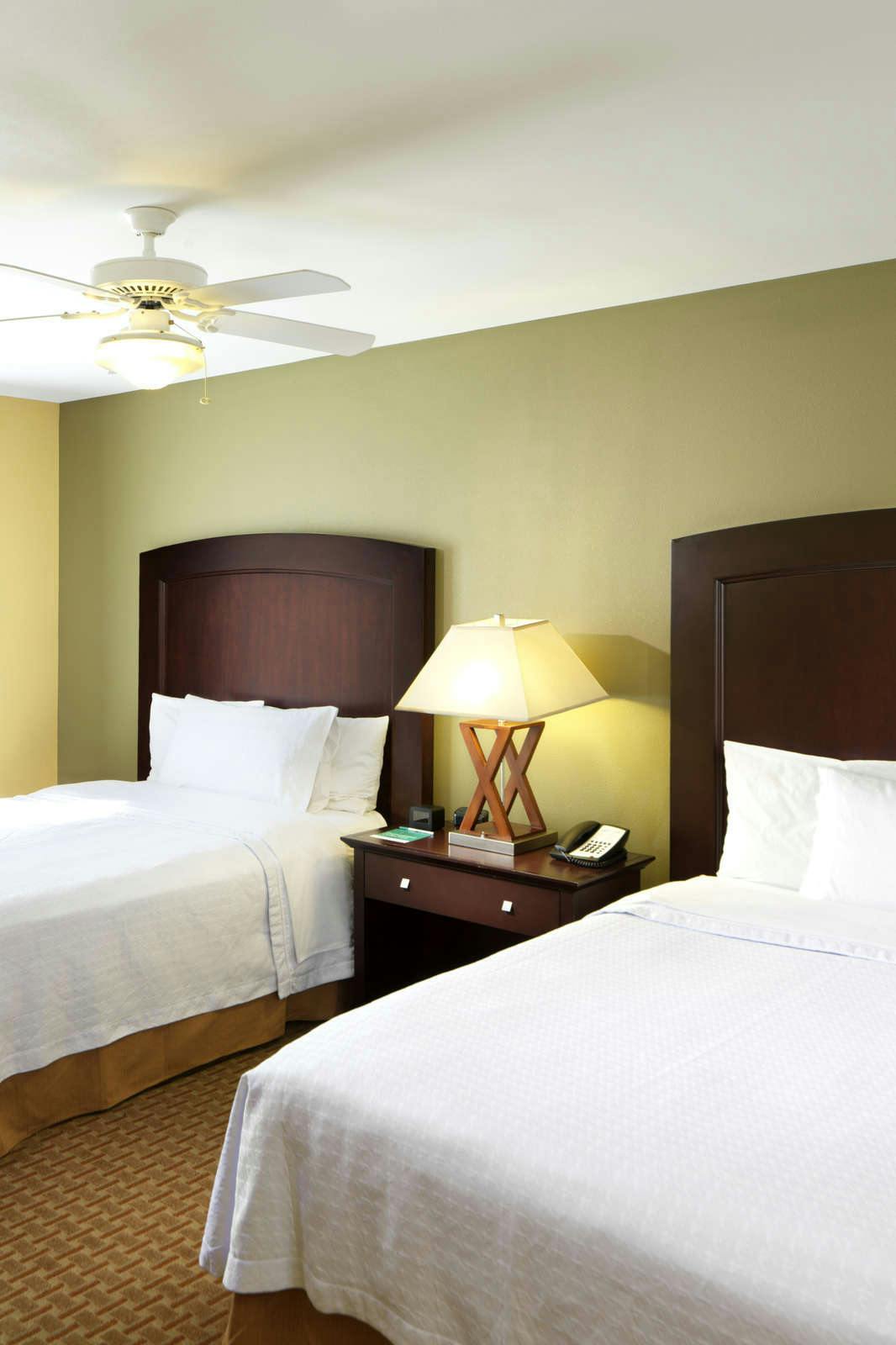 Hotel Homewood Suites By Hilton Dover photo 2