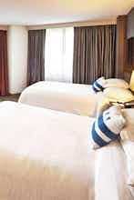 Hotel Embassy Suites by Hilton Washington DC Chevy Chase Pavilion photo 4