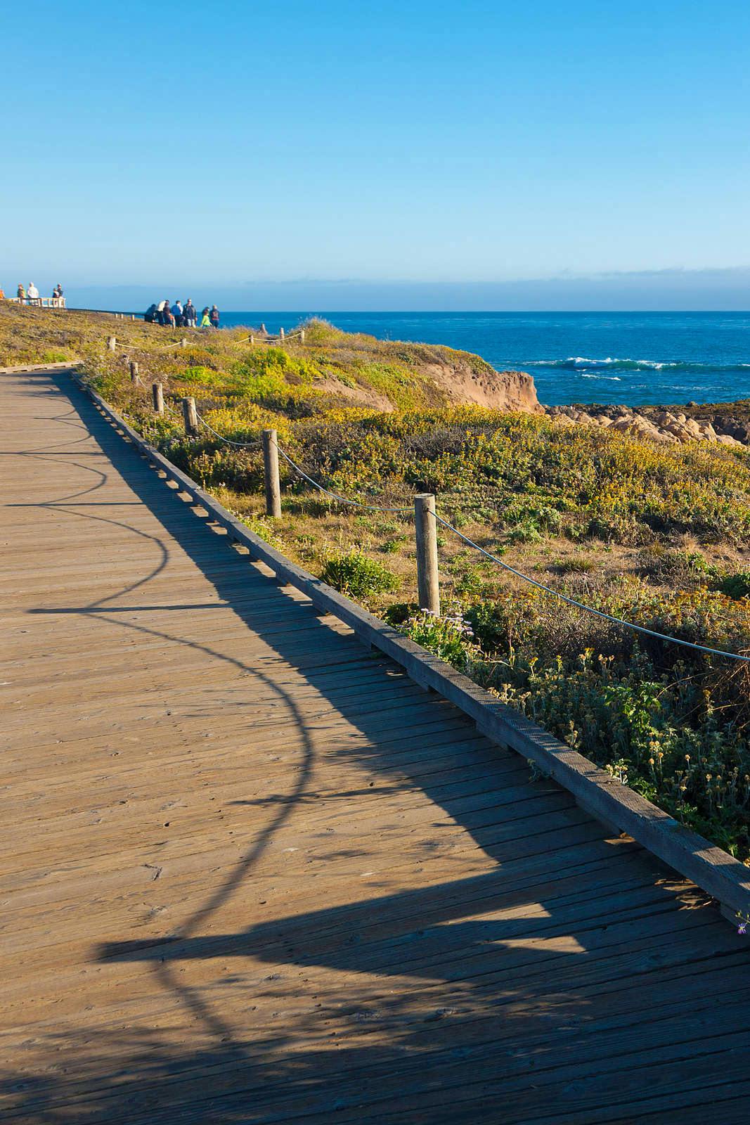 Hotel Pelican Inn photo 5