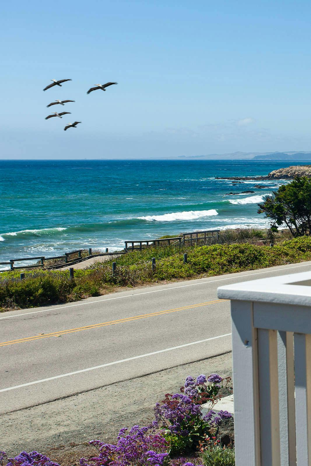 Hotel Pelican Inn photo 2