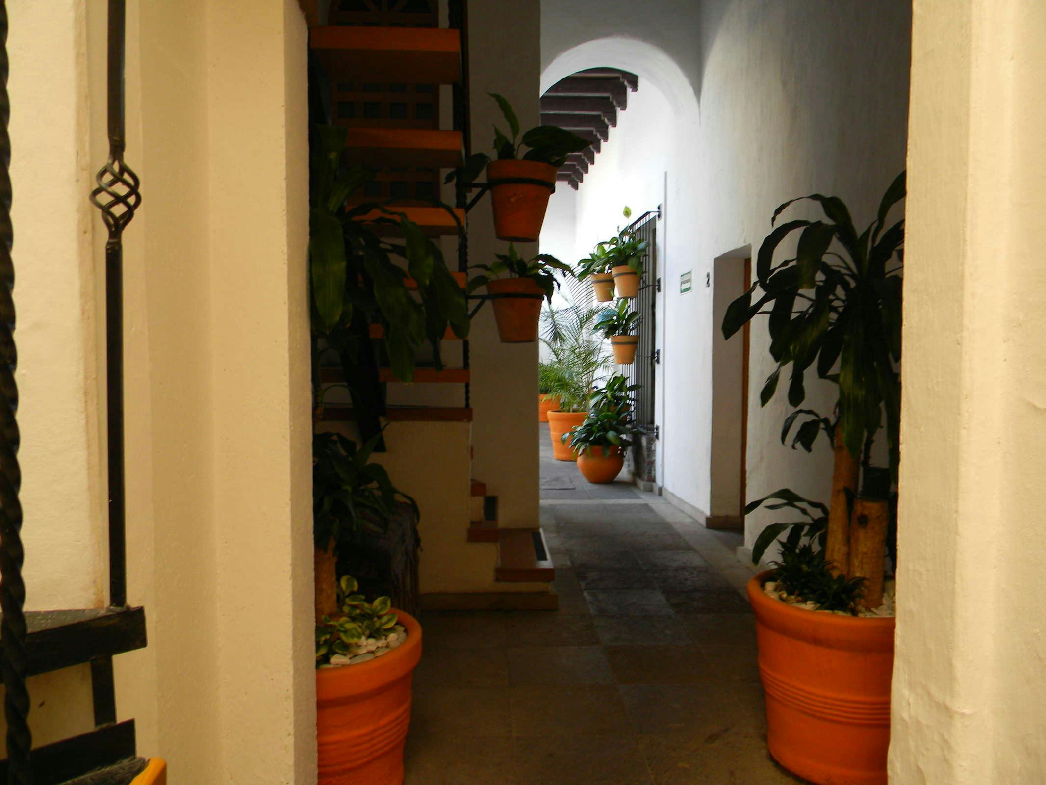 Hotel Hotel Quinta Lucca photo 4