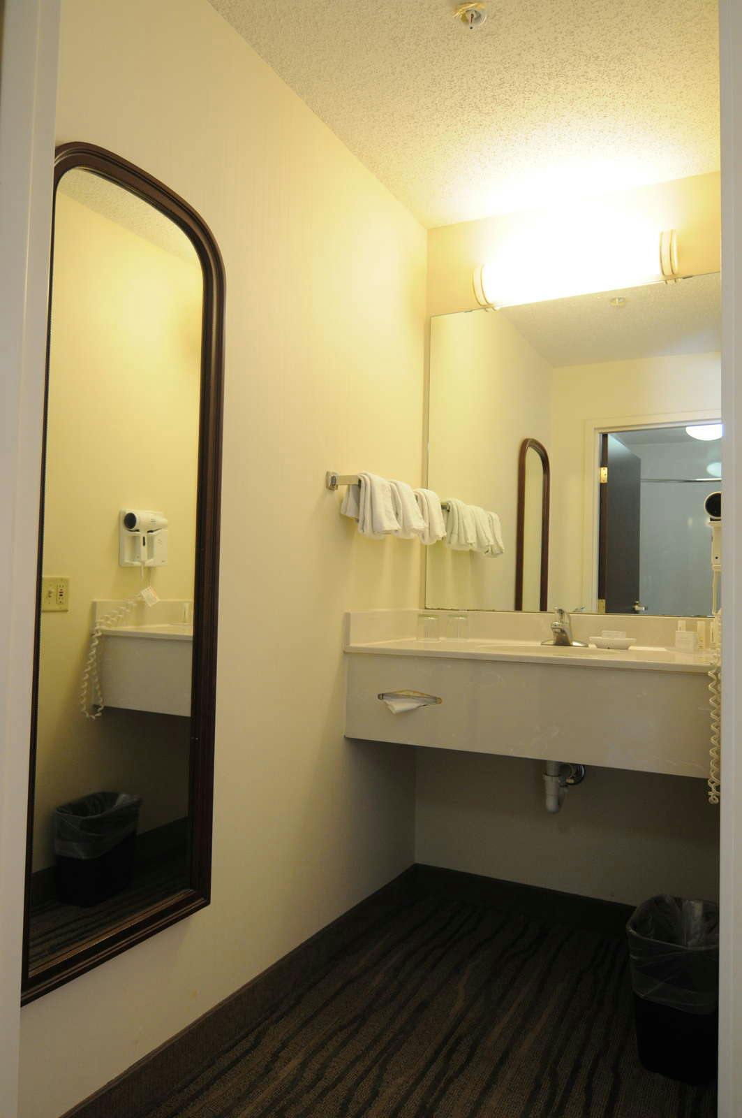 Hotel SpringHill Suites by Marriott Minneapolis West/St. Louis Park photo 4