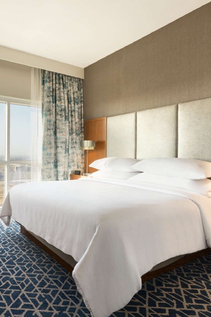 Hotel Embassy Suites by Hilton Denton Convention Center photo 1