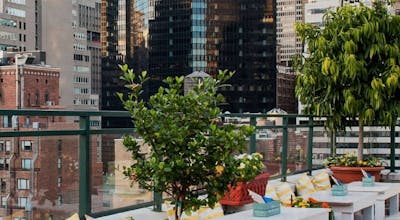 The Shelburne Sonesta New York