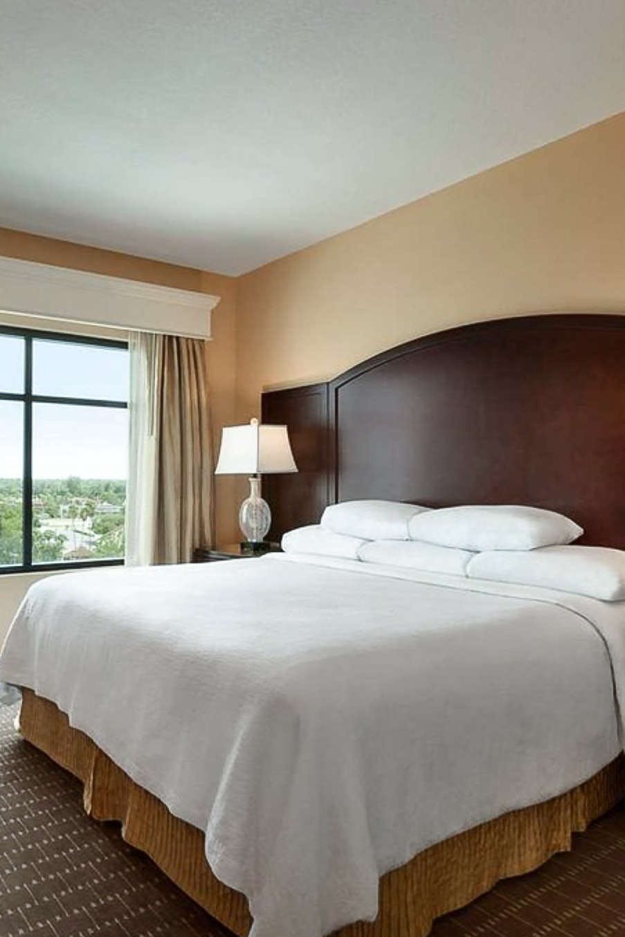 Hotel Embassy Suites by Hilton Orlando Lake Buena Vista South photo 1