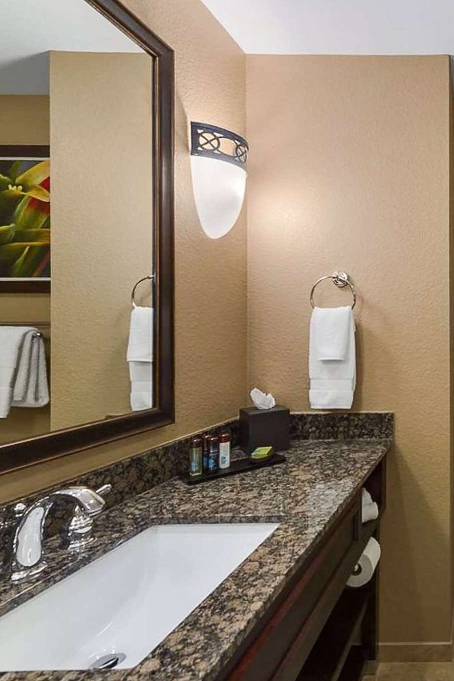 Hotel Embassy Suites by Hilton Orlando Lake Buena Vista South photo 4