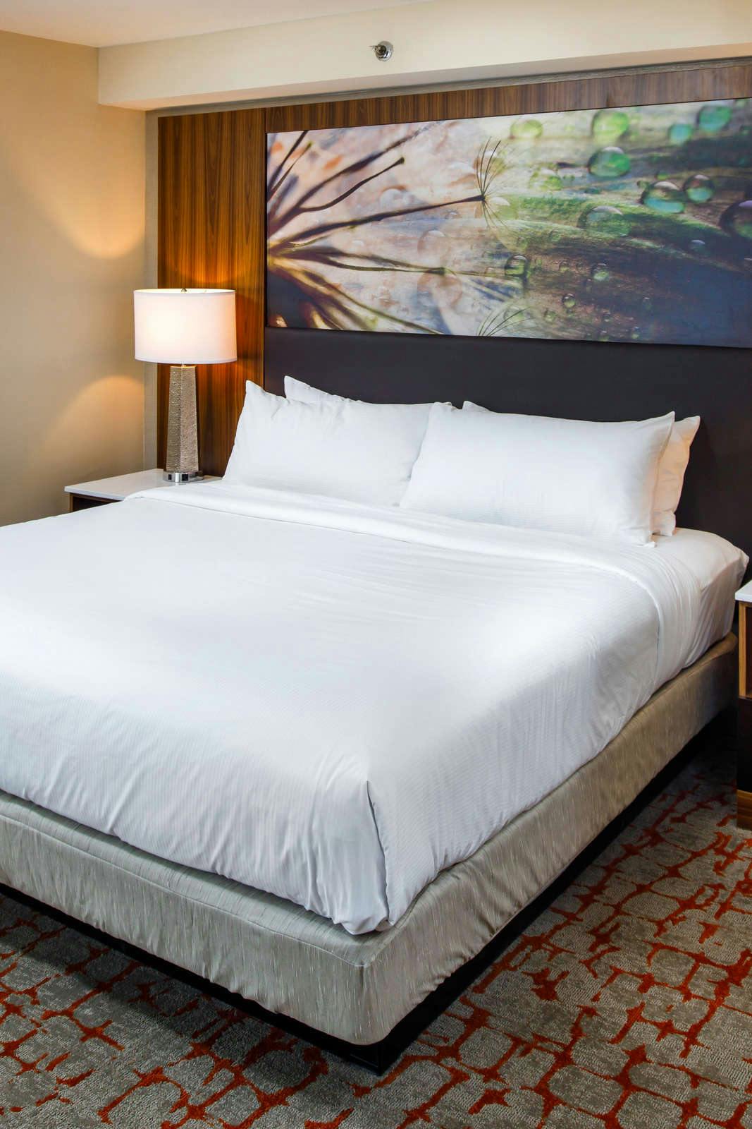 Hotel The DoubleTree Appleton photo 4