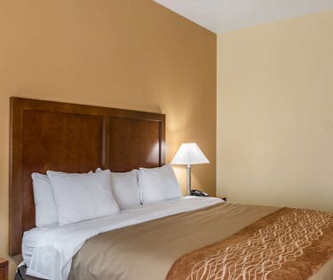 Comfort Inn Suites North Aurora Naperville Chicago Hoteltonight