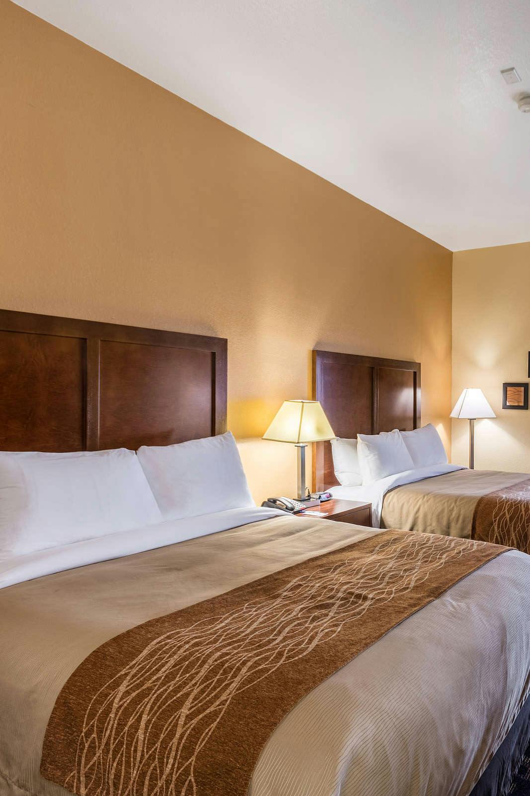 Comfort Inn Suites North Aurora Naperville Chicago Hoteltonight