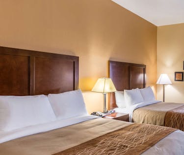 Comfort Inn Suites North Aurora Naperville Chicago Hoteltonight