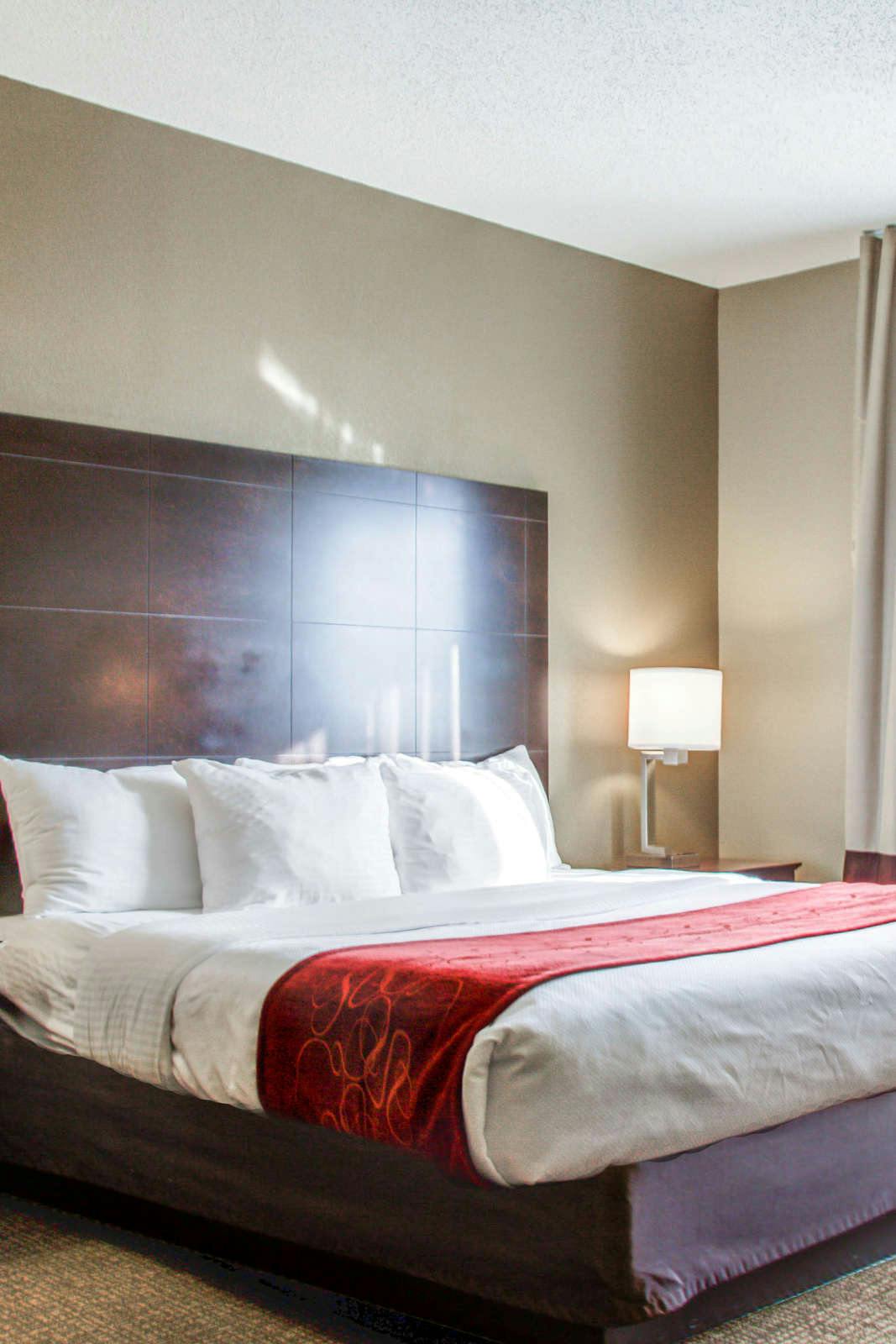 Comfort Suites Lombard - 