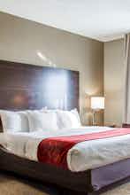Hotel Comfort Suites Lombard - Addison photo 3