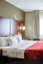 Hotel Comfort Suites Lombard - Addison photo 2