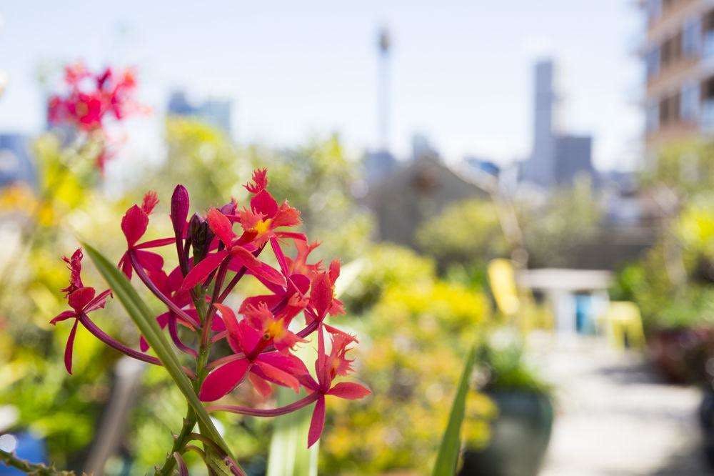 Hotel Regents Court Apartments photo 2