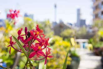 Hotel Regents Court Apartments photo 2