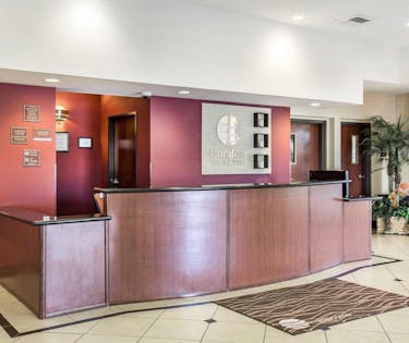 Comfort Inn Suites Las Vegas Nellis Las Vegas Hoteltonight