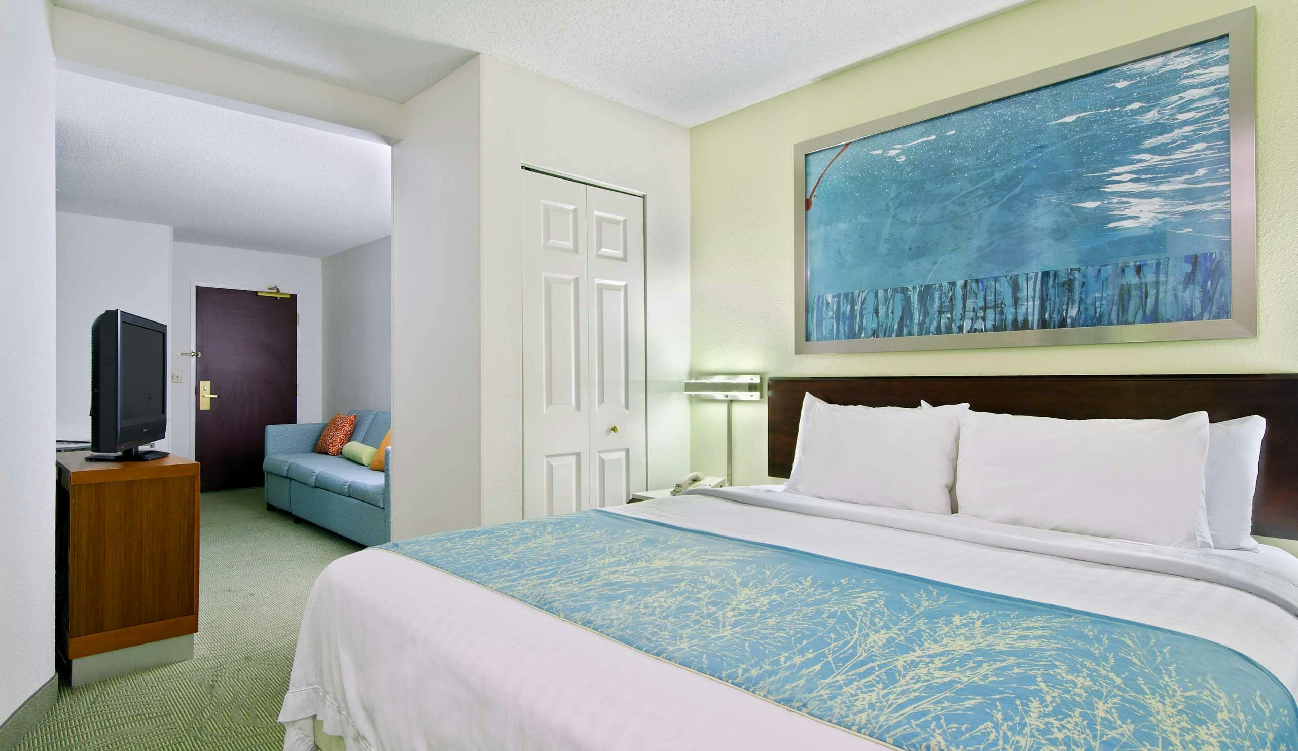 Hotel SpringHill Suites by Marriott Asheville photo 1