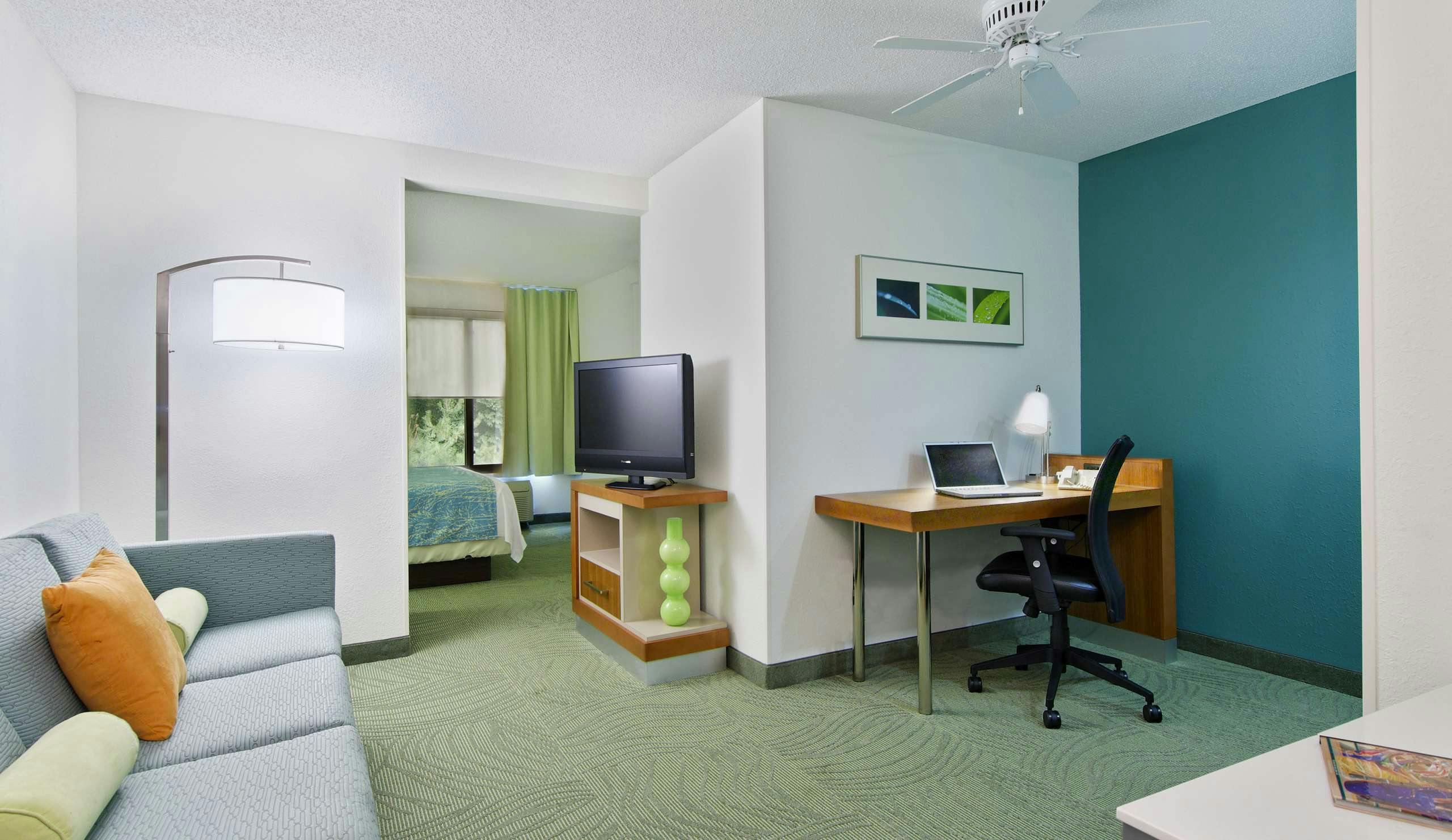 Hotel SpringHill Suites by Marriott Asheville photo 5