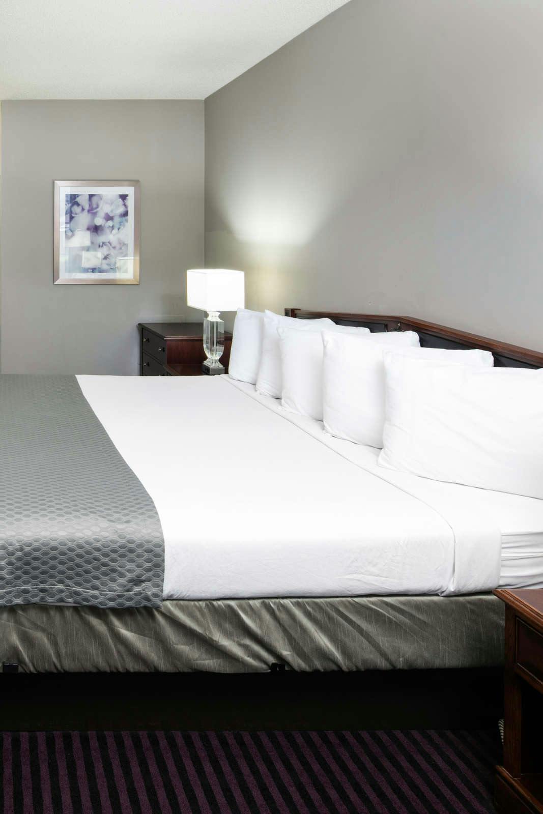 Hotel Maison Saint Charles Hotel & Suites photo 4