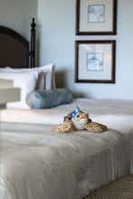 Hotel Kimpton Vero Beach Hotel & Spa photo 5