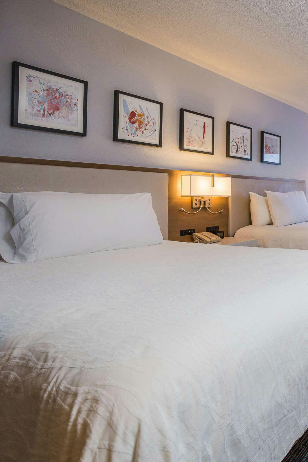 Hotel Hilton Garden Inn Atlanta North/Johns Creek photo 3