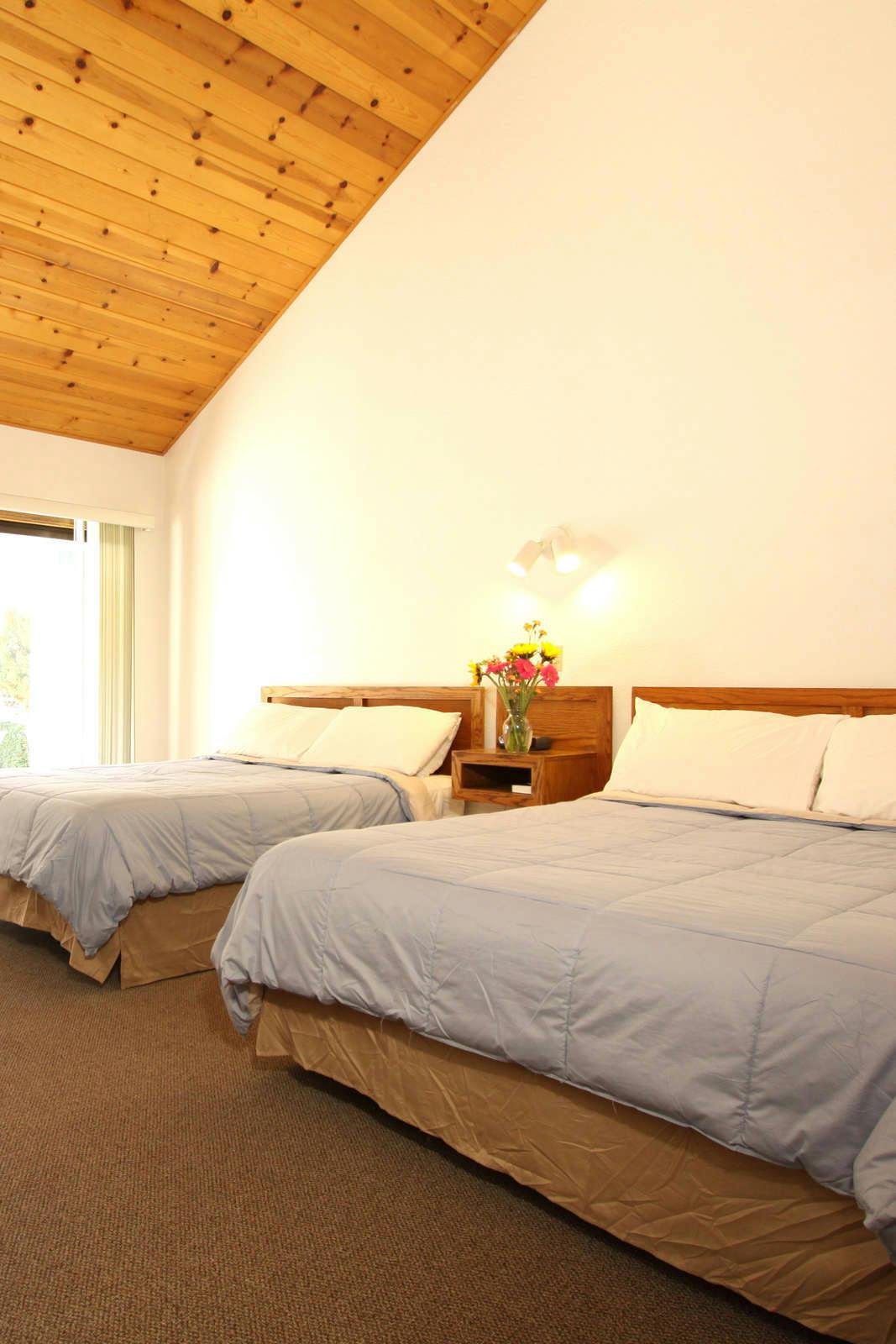 Hotel Pioneer Inn & Suites photo 4