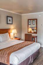 Hotel The Inn at 1252 photo 1