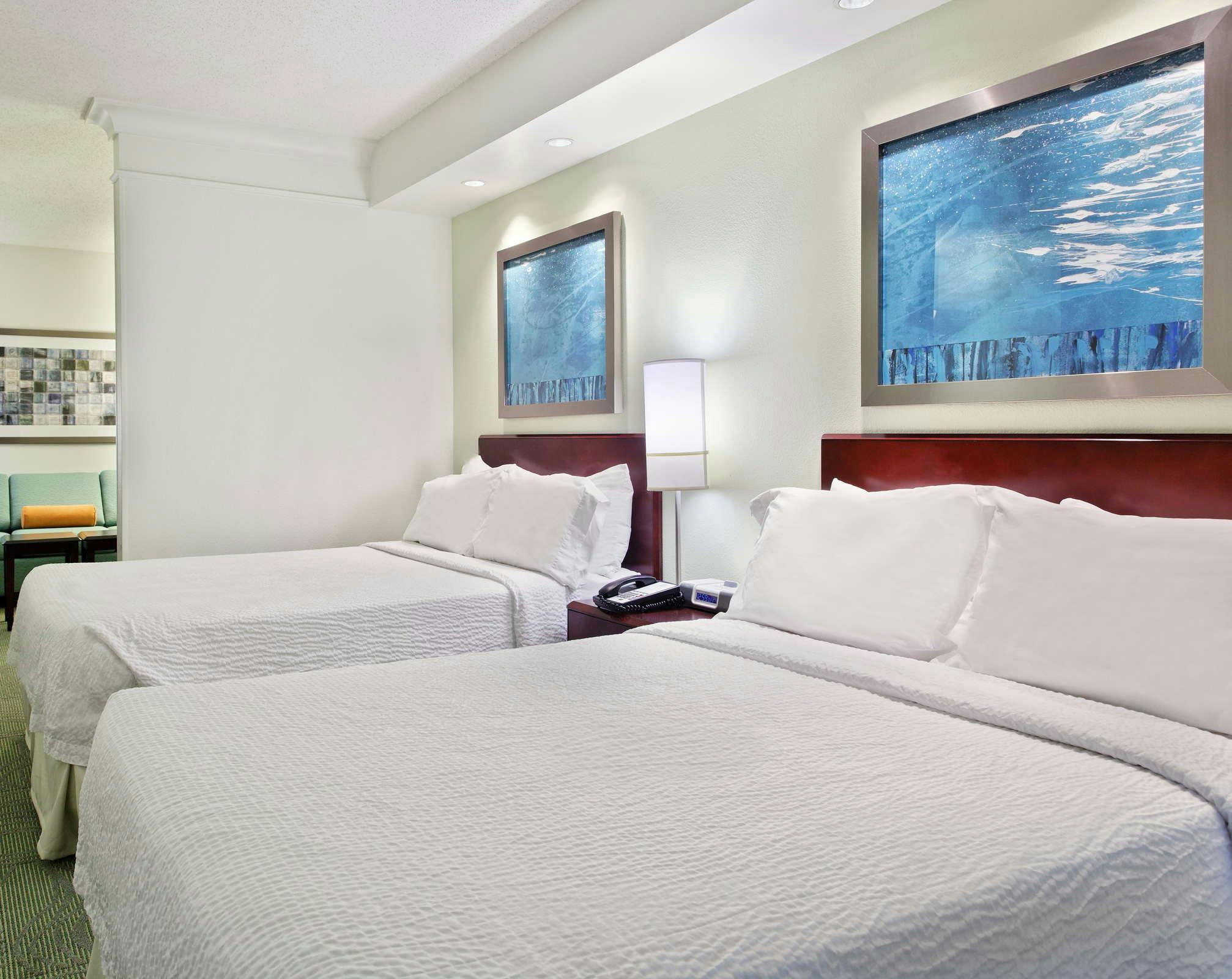 Hotel SpringHill Suites by Marriott Knoxville at Turkey Creek photo 3