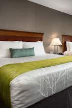 Hotel Best Western Plus Landmark photo 1