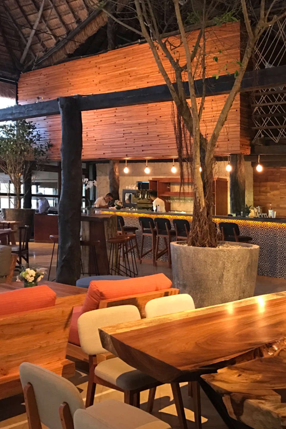 Hotel Hotel Cabañas Los Lirios photo 5