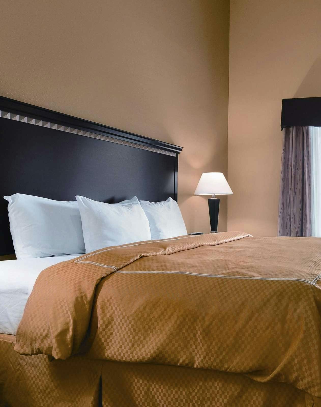 Hotel Comfort Suites DFW Airport photo 3