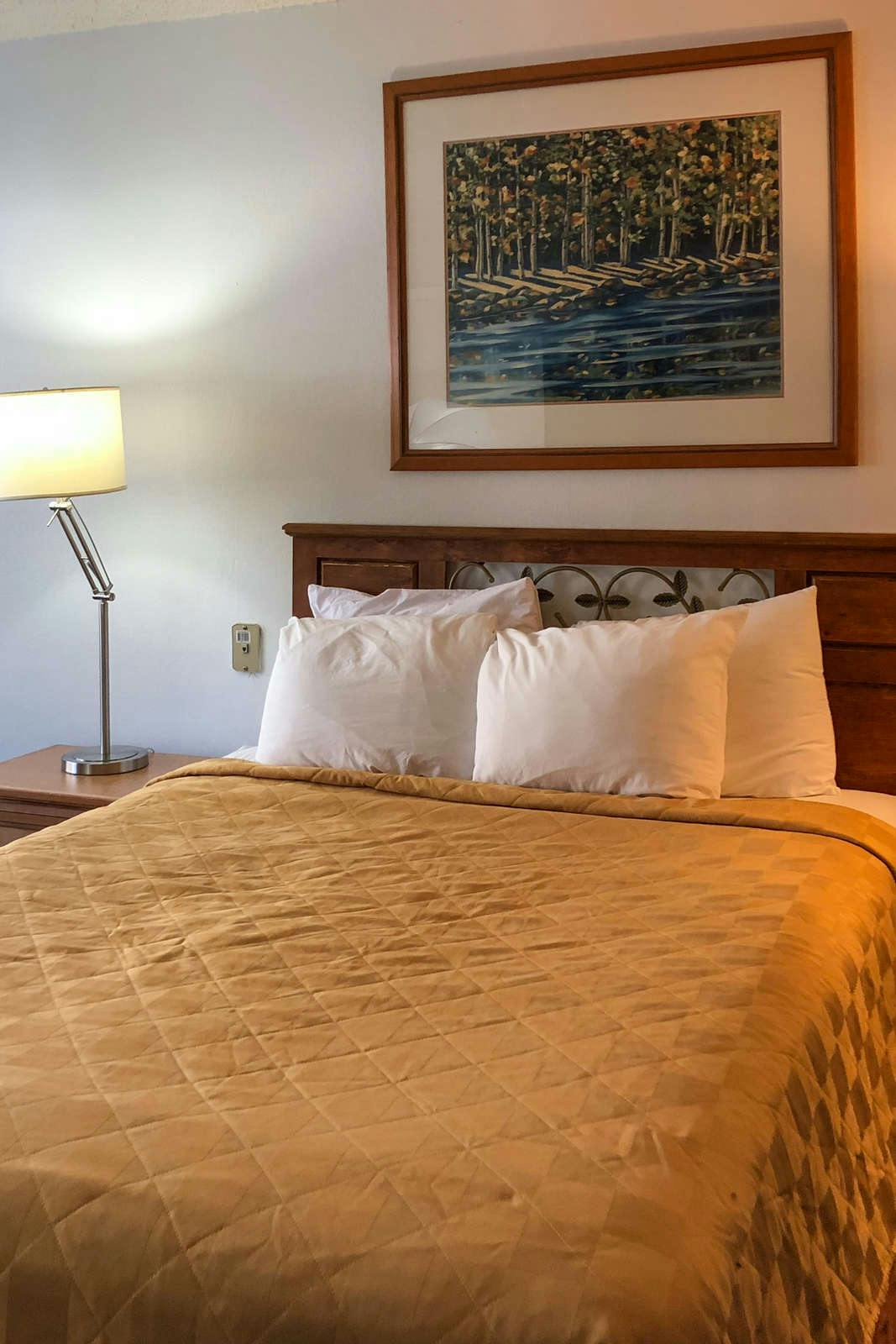 Hotel Cedar Inn & Suites photo 5