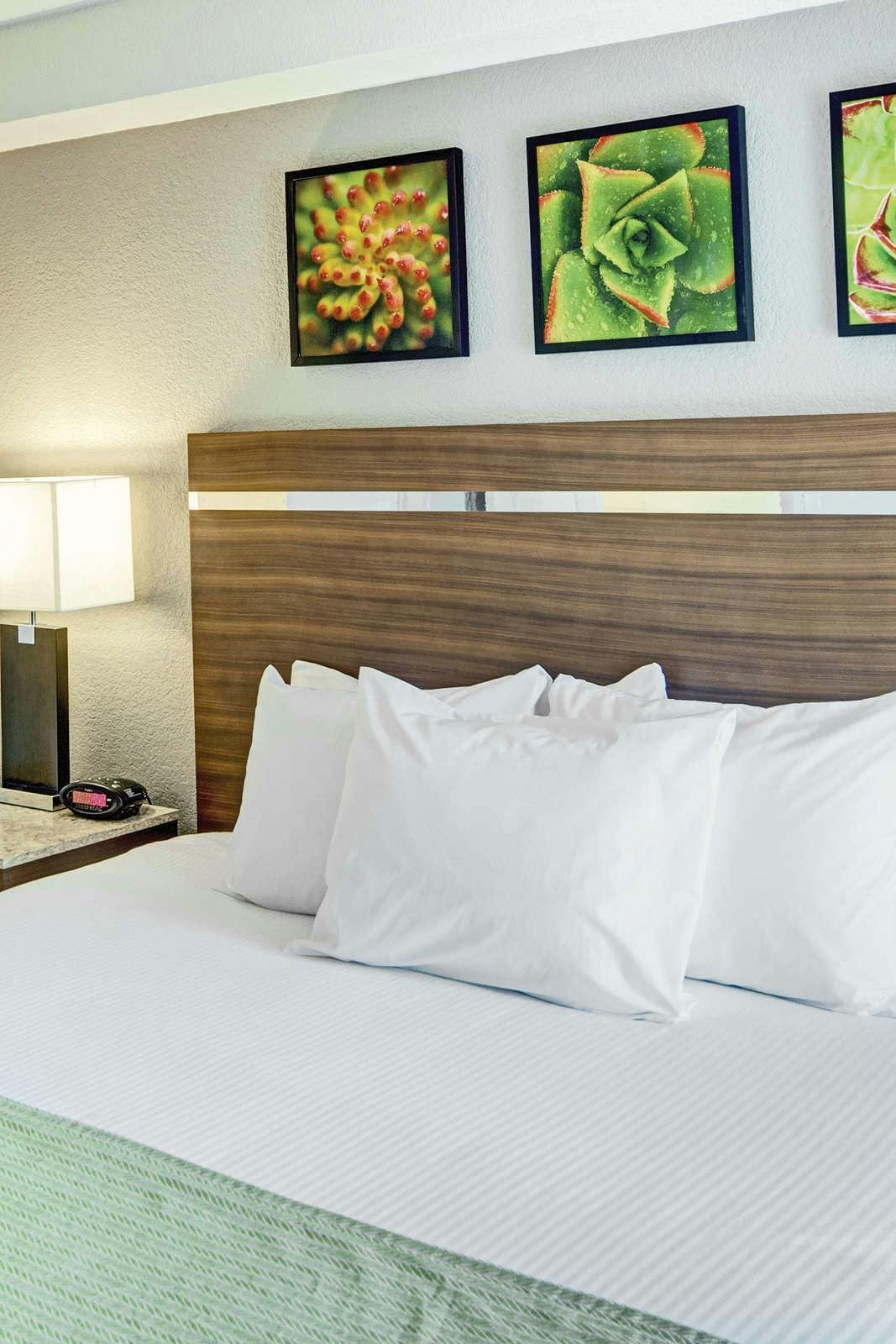 Hotel Desert Rose Resort photo 3