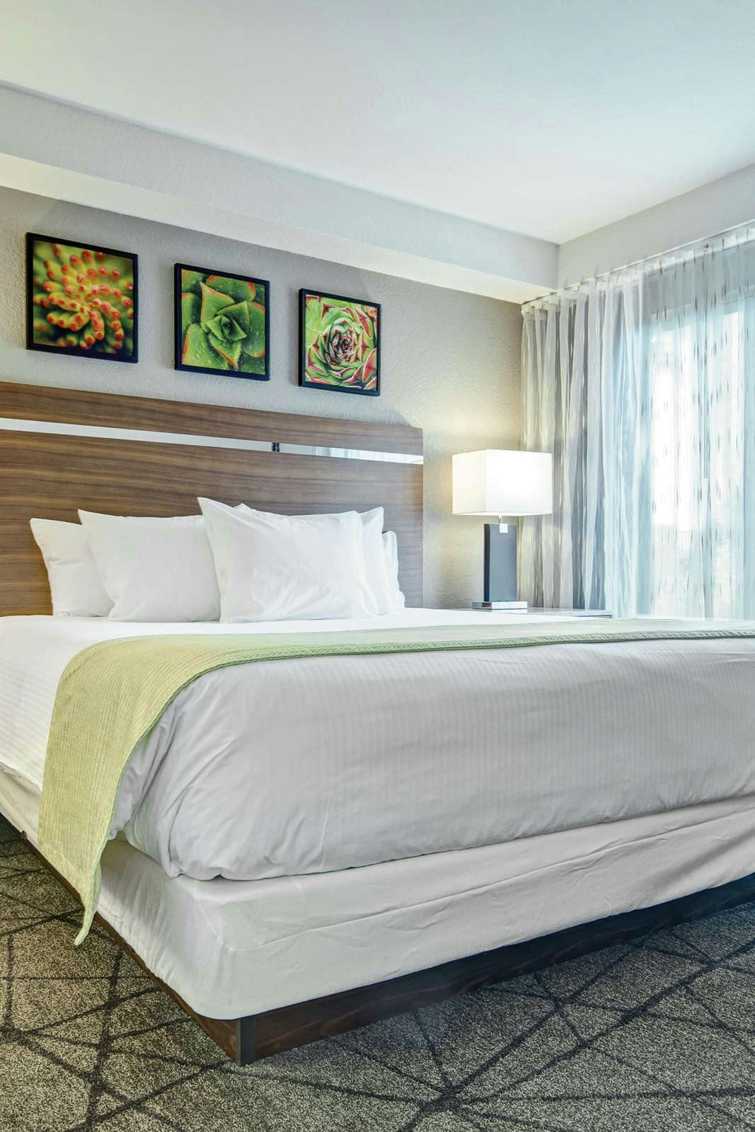 Hotel Desert Rose Resort photo 1