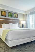 Hotel Desert Rose Resort photo 1