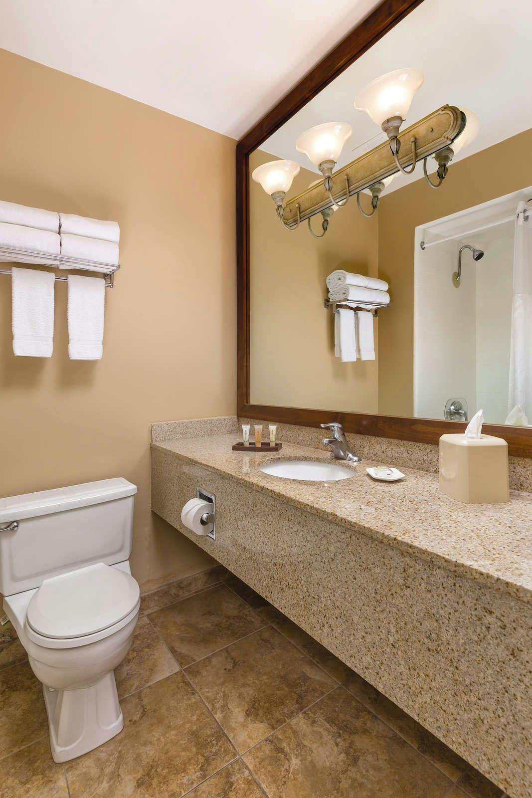 Hotel WorldMark Palm Springs - Plaza Resort and Spa photo 5