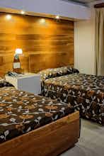 Hotel Hotel Napolitano photo 3