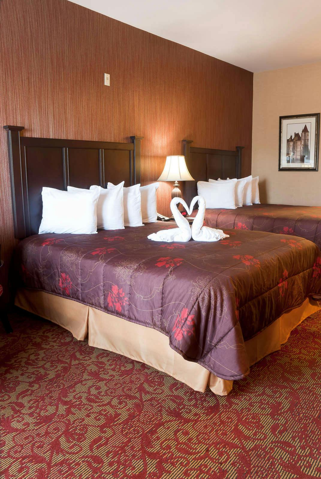 Hotel Castle Inn & Suites photo 3