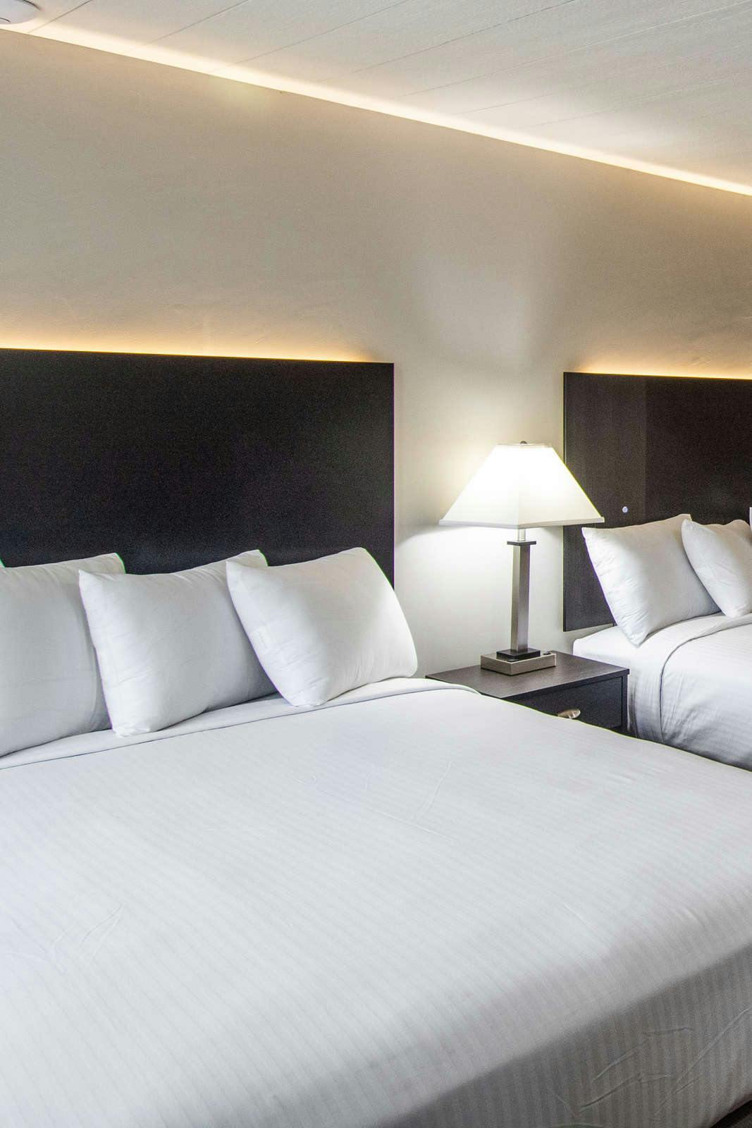 Hotel Americana Modern Hotel photo 4