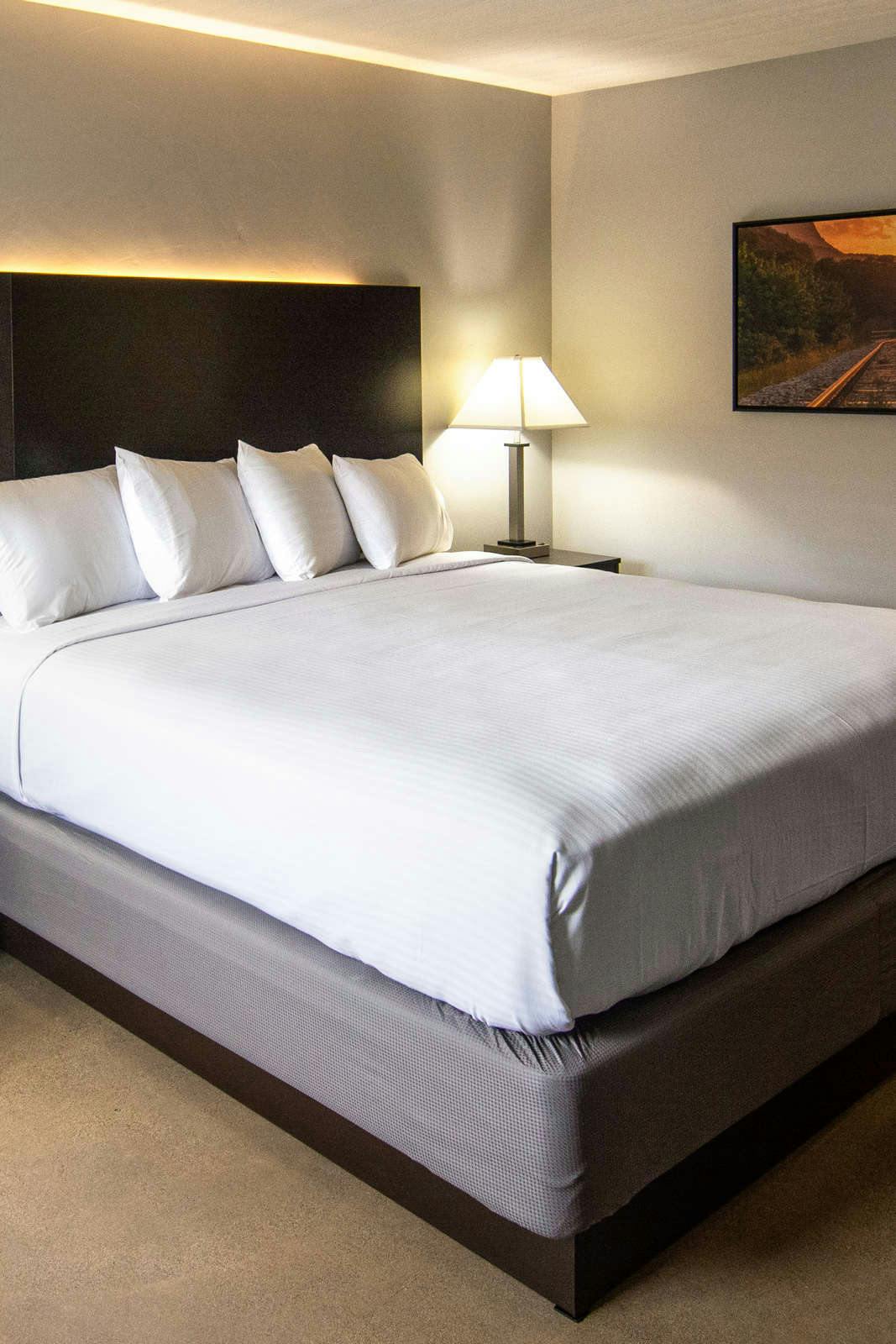 Hotel Americana Modern Hotel photo 2