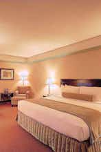 Hotel Holiday Inn & Suites Pittsfield Berkshires photo 2