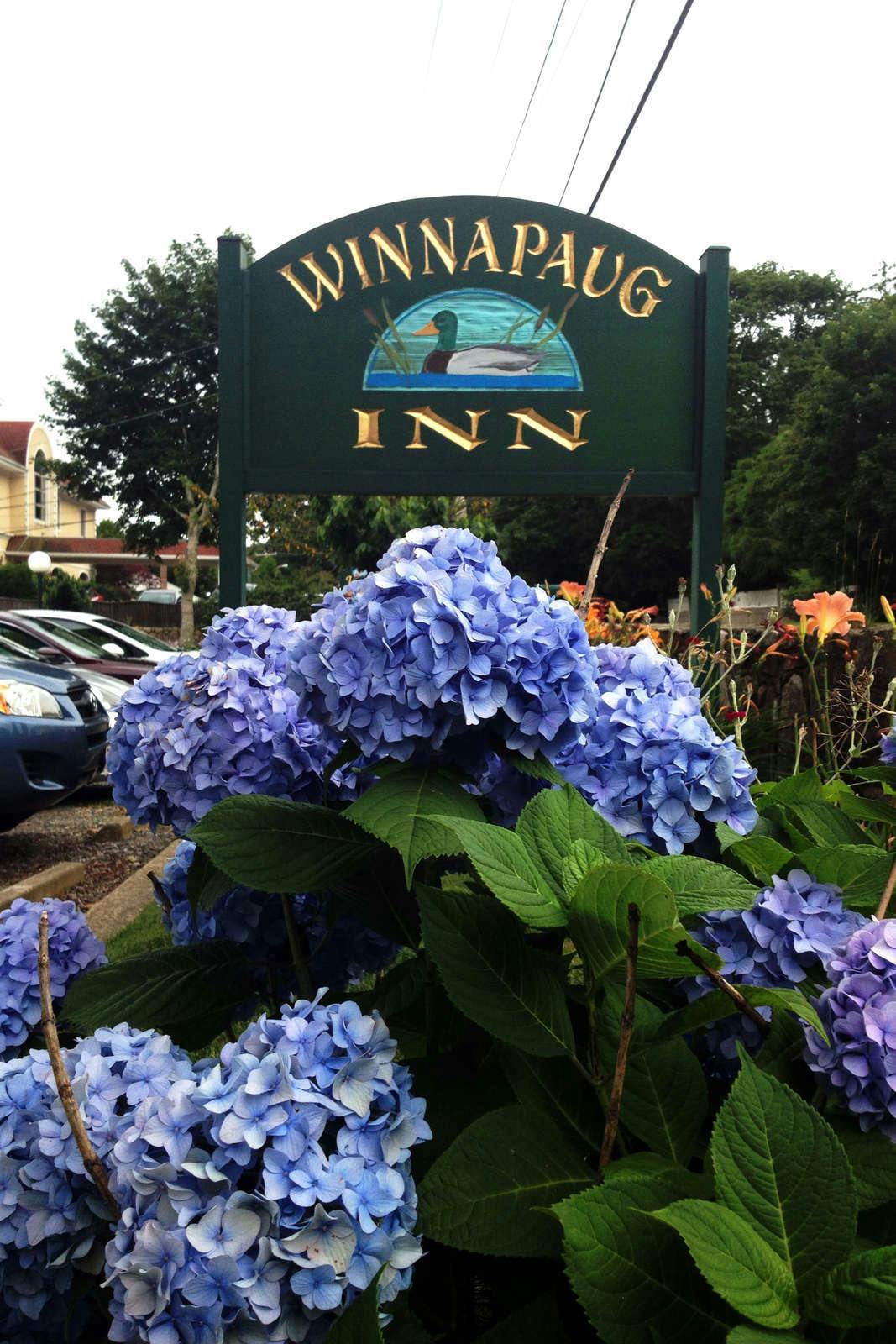 Hotel Winnapaug Inn photo 5