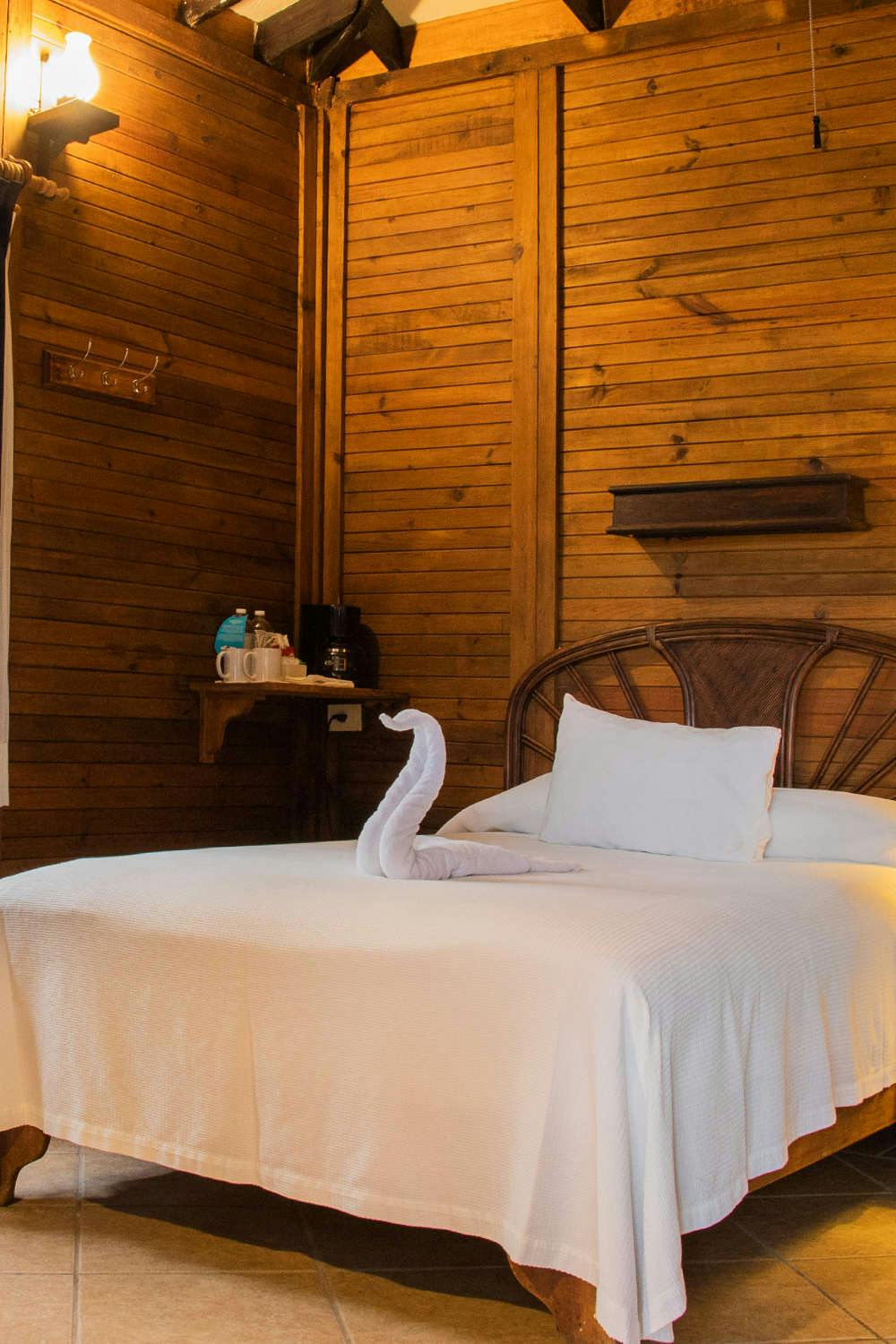 Hotel Petit Lafitte Hotel photo 5