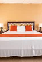 Hotel Petit Lafitte Hotel photo 3