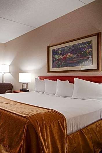 Hotel Best Western Holiday Lodge photo 1