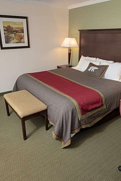 Hotel Best Western Plus White Bear Country Inn photo 1