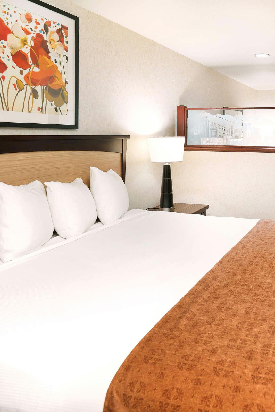 Hotel Crystal Inn Hotel & Suites Salt Lake City - Downtown photo 4