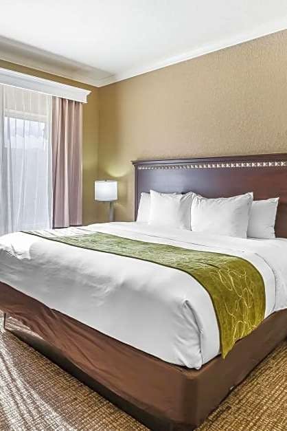 Comfort Suites Houston Iah Airport Beltway 8 Houston Iah